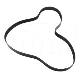 2534011 - Belt-serpentine