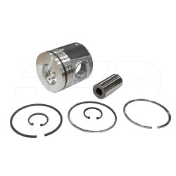5081898 - Piston Gp.