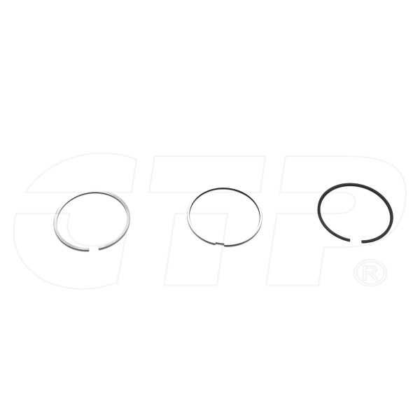 CVA-Shipping not included 2767476 PISTON RING SET New