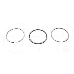 Kit Ring Piston 2908458