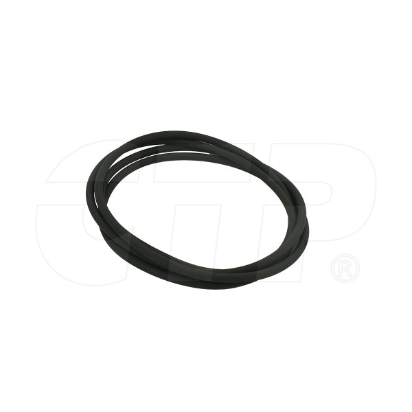 Seal O Ring 3D1964
