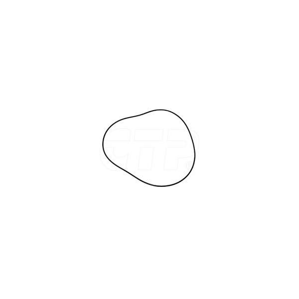 Seal O Ring 3D8241