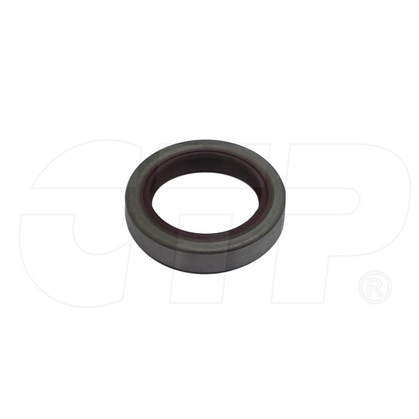 3G1797 - Seal Lip