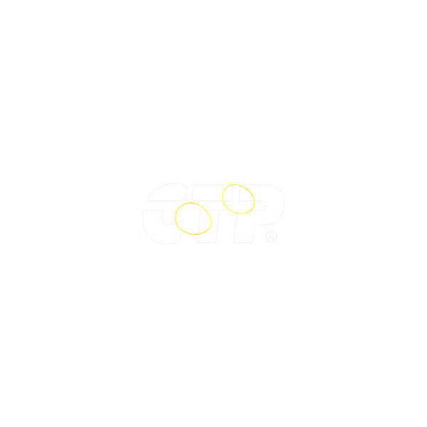 3P5859 - Seal O Ring