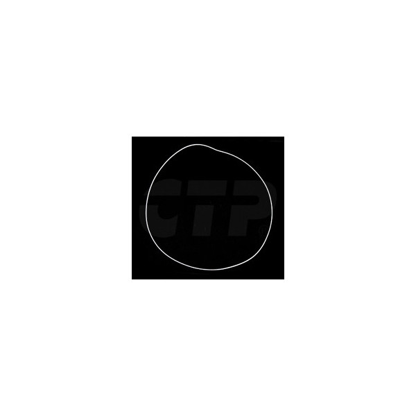 Ring 3S1281