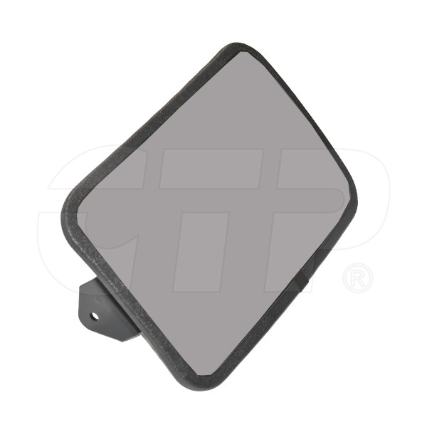 Mirror As 3005512