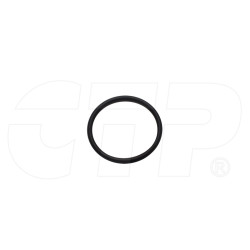 Seal O Ring 304605