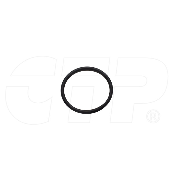 Seal O Ring 304605