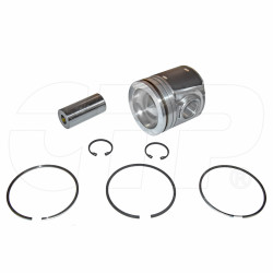 3109269 - Piston As-