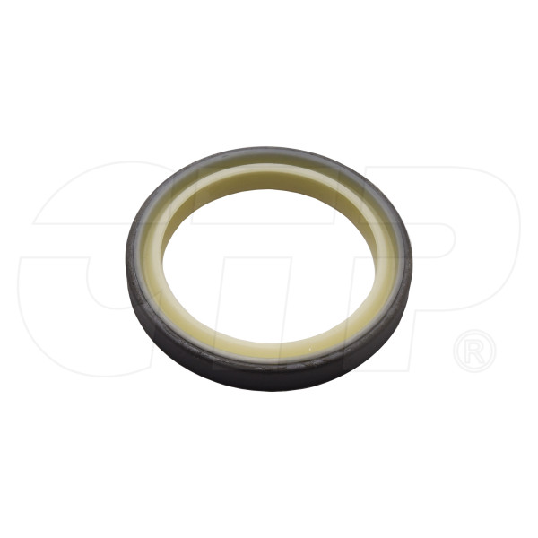 3119318 - Seal-wiper
