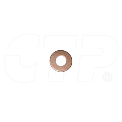 3149984 - Washer Inj