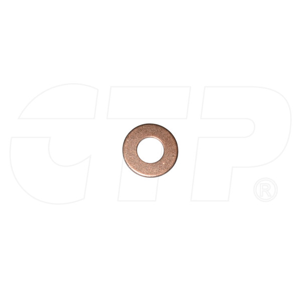 3149984 - Washer Inj