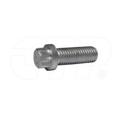 1762543 - Bolt-12 Point