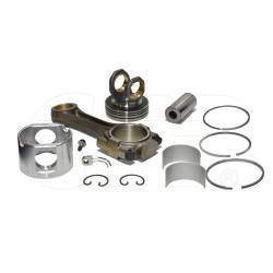 1765745 - Piston And Rod Gr
