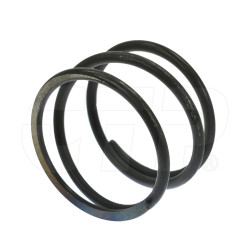1789566 - Spring-piston