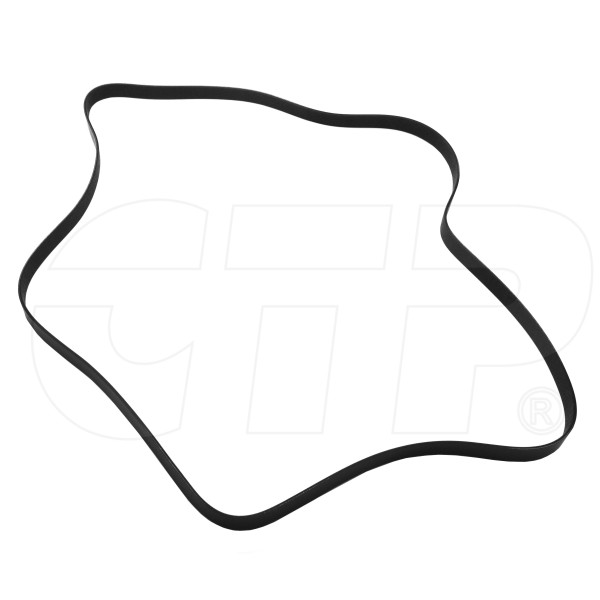 1974567 - Serpentine Belt