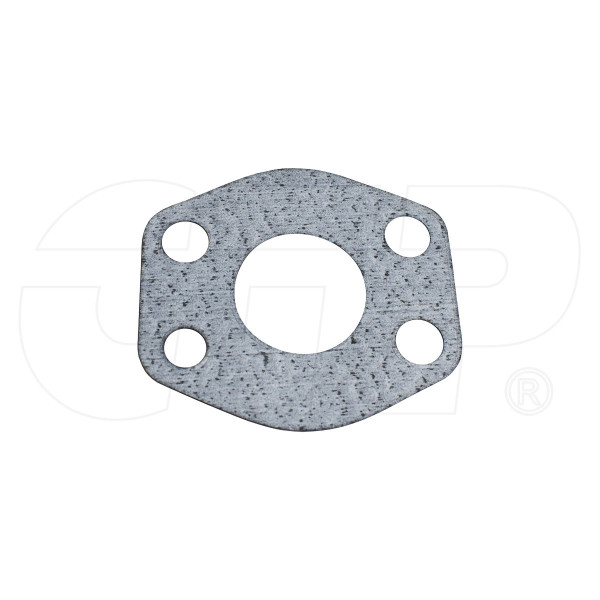 2D0091 - Gasket-ctp