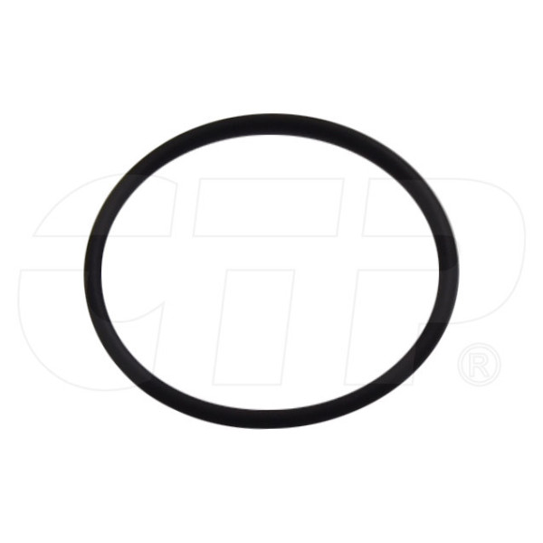 2D0598 - Seal O Ring