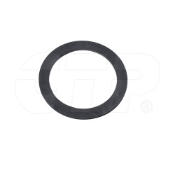 Gasket 2F2005