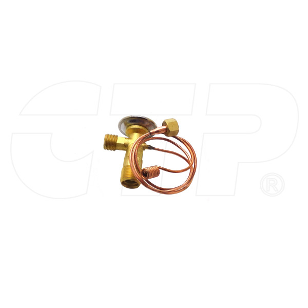 2G0401 - Expansion Valve