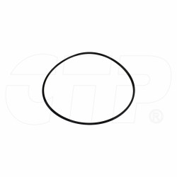 Seal Ring 2G7002