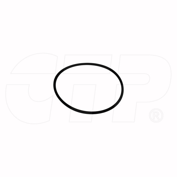 2H6124 - Seal O Ring