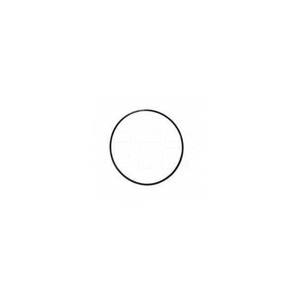 2J3961 - Ring Backup