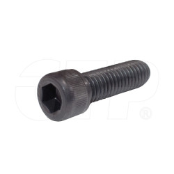 2J5245 - Screw Hex Socket Head